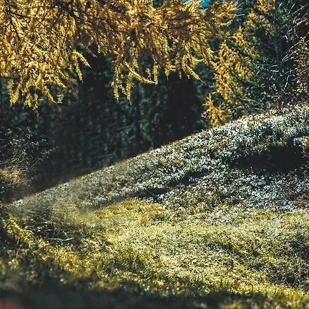 Apartmán Hochmoderne